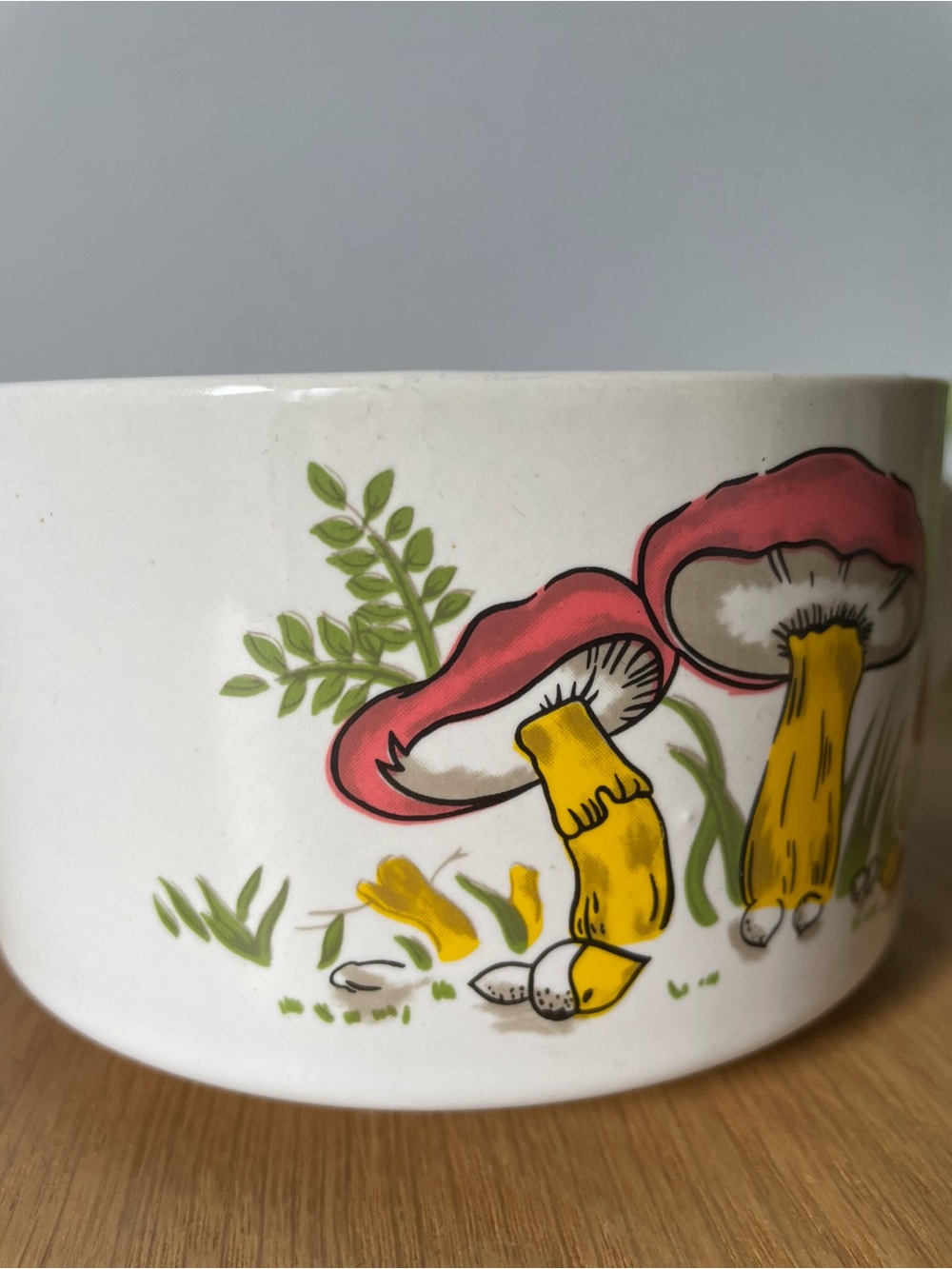 Vintage 1970s Mushroom Illustration Ceramic Soup Mug - Picture 4 of 9